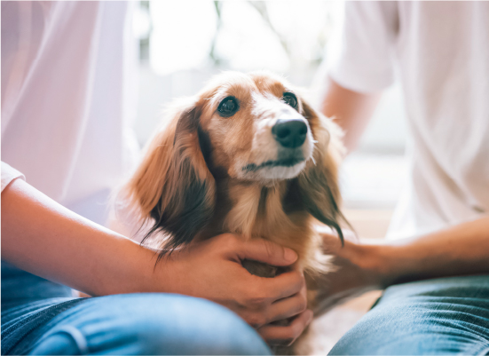暮らしの変化に合わせた、最適なリフォームを